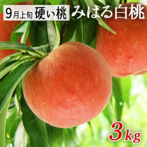 山形県産 美晴白桃