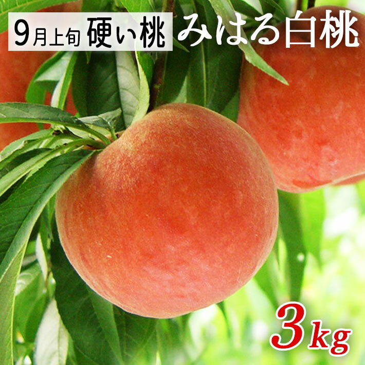 山形県産 美晴白桃