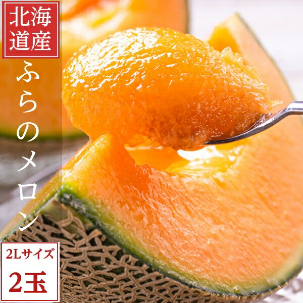 北海道富良野産 メロン