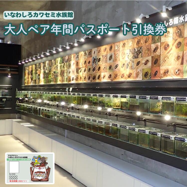 年間パスポートペア