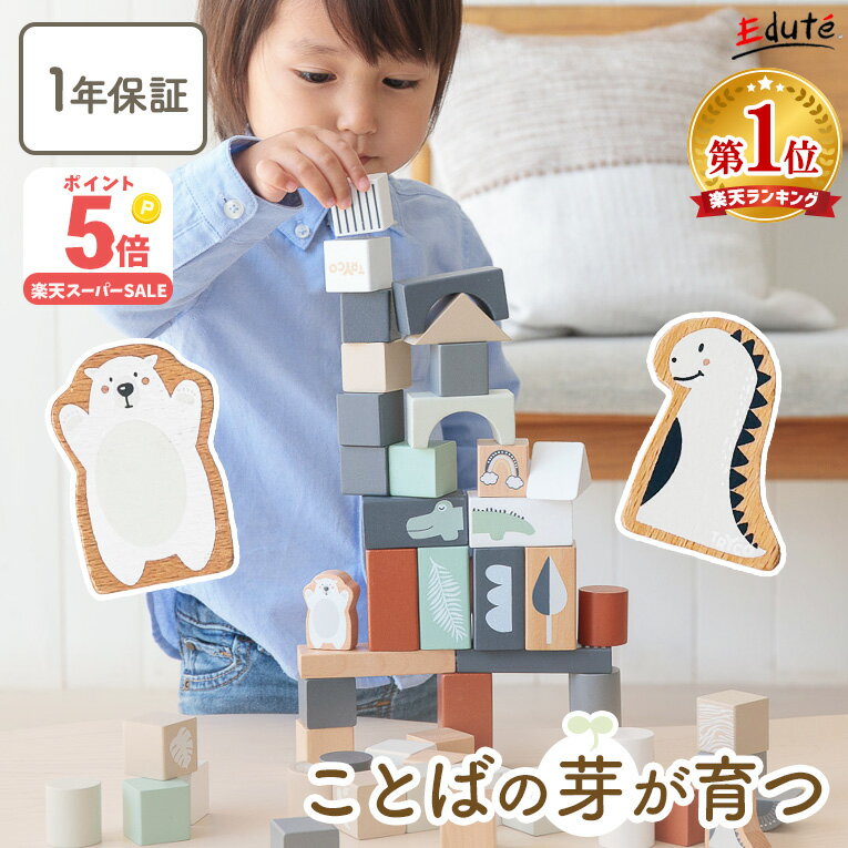 50ピース積み木セット