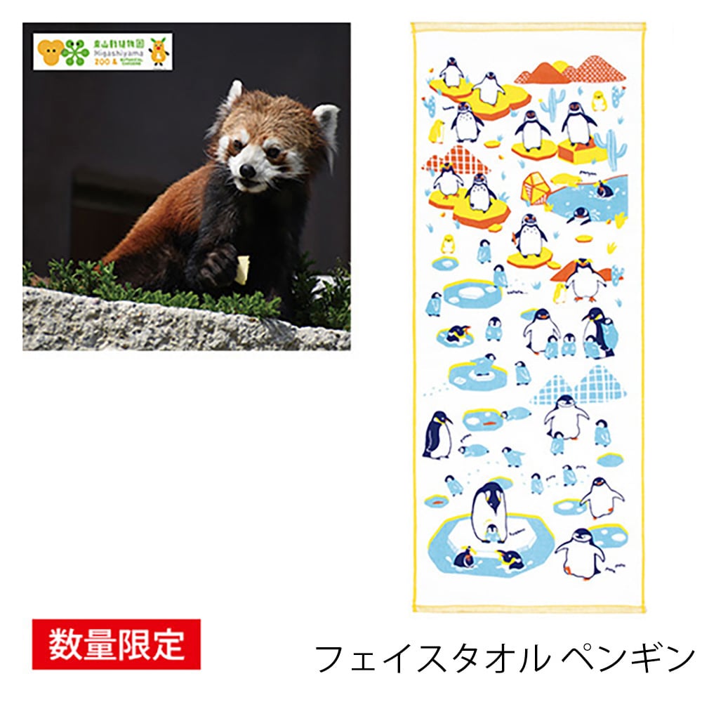 東山動植物園年間パスポート グッズ付き フェイスタオル ペンギン
