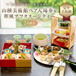 ペア入場券