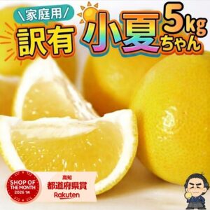 高知県産 文旦