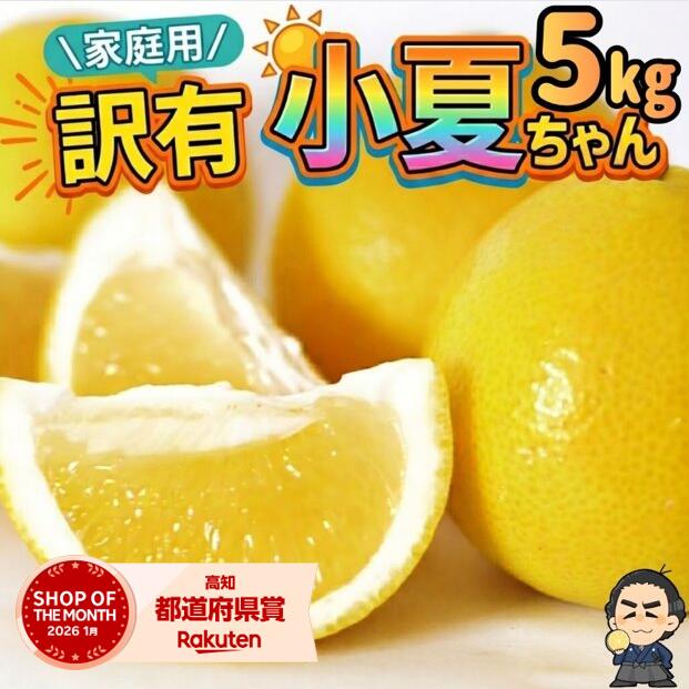 高知県産 文旦