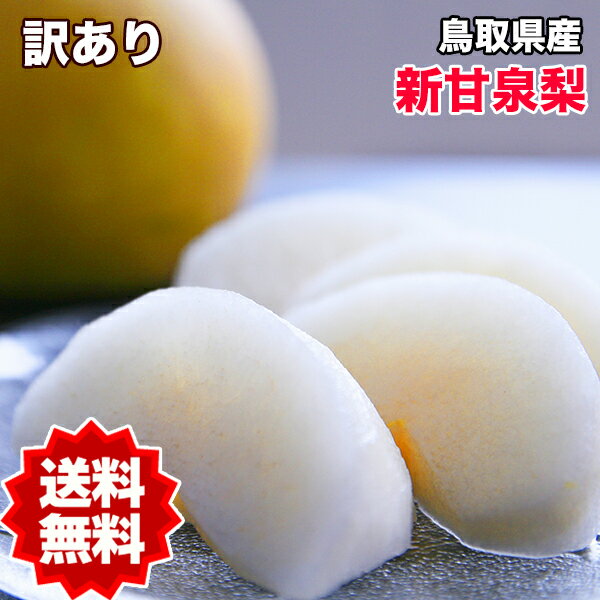 鳥取県産 新甘泉（梨）