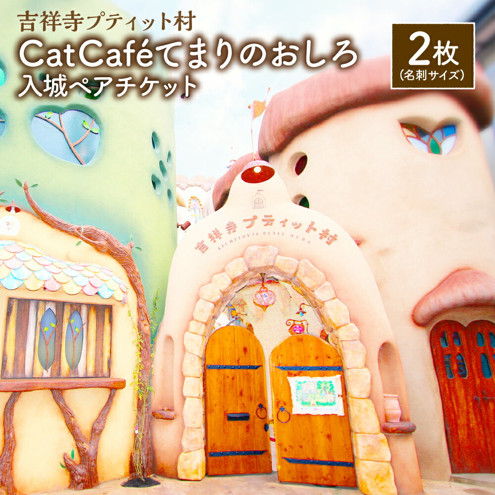 ペア入城券