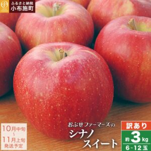 長野県産 シナノスイート